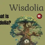 What is Wisdolia?